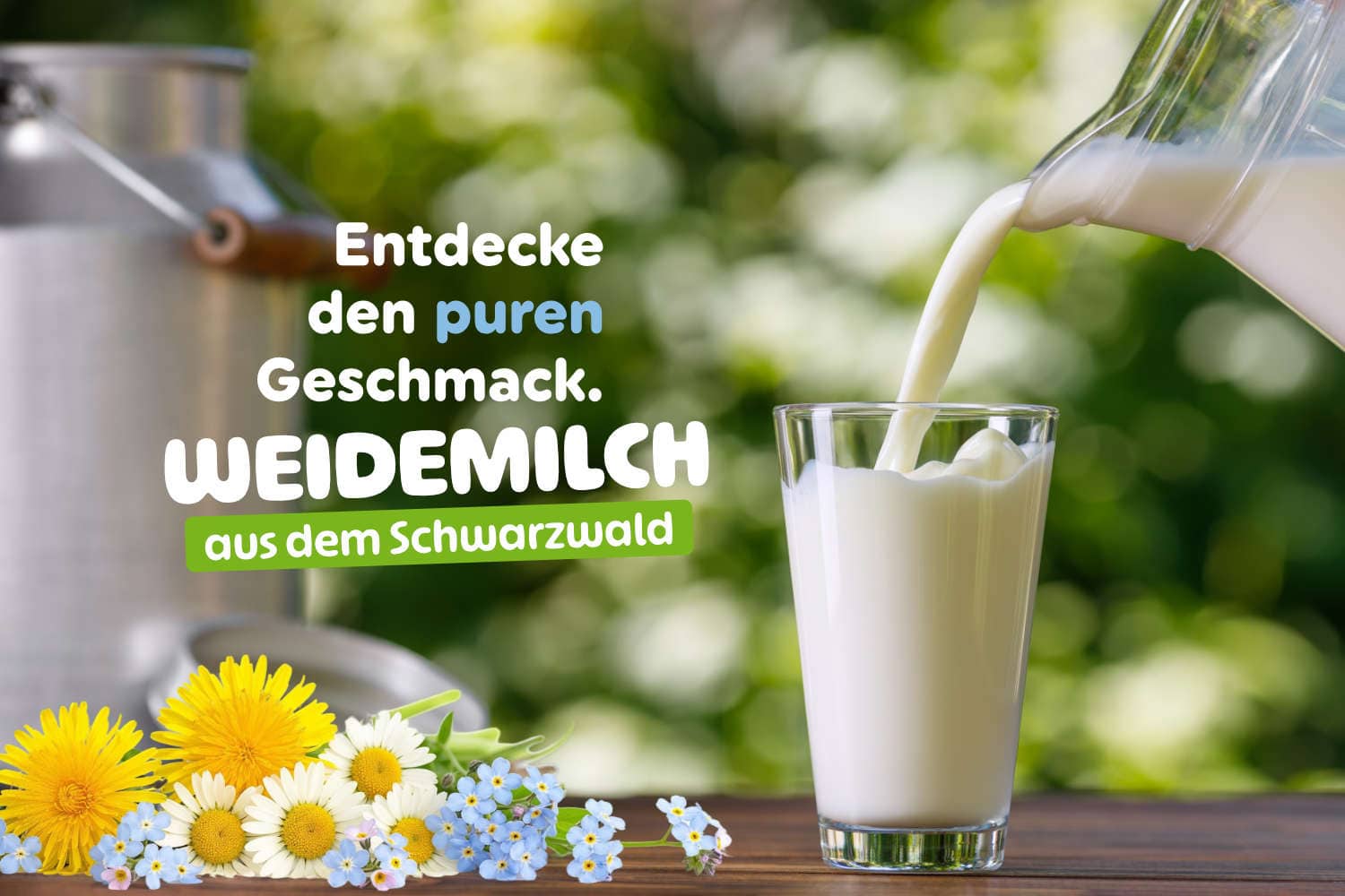 Frische Wälder Kuh Weidemilch wird ins Glas gegossen. Im Hintergrund, die grüne Natur.